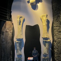 Bones of the Argentinosaurus, with 35 meters lenths the biggest found Dinosaur